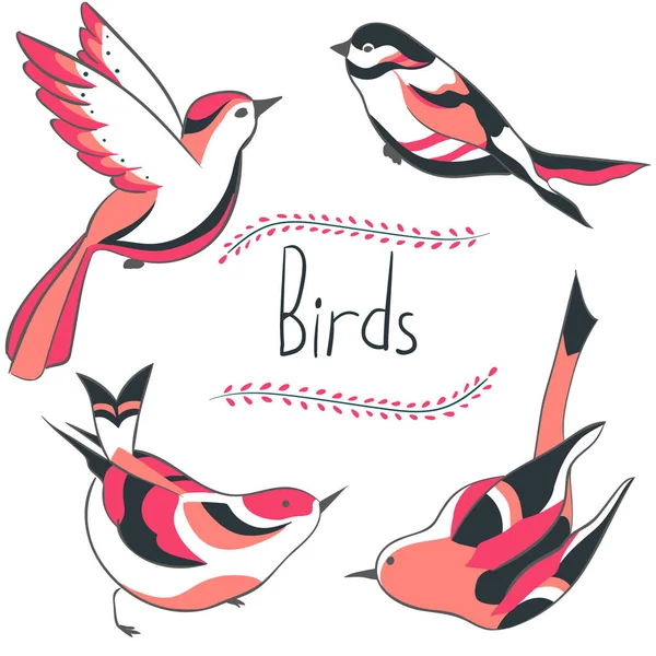 4 つの着色された鳥 — ストックベクタ