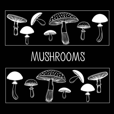 Sağlıklı ve sağlıksız mantar toplama