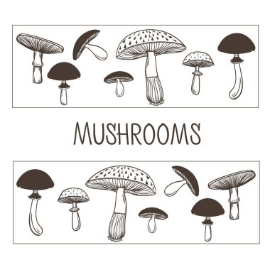 Sağlıklı ve sağlıksız mantar toplama