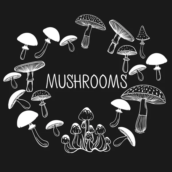 Sağlıklı ve sağlıksız mantar toplama