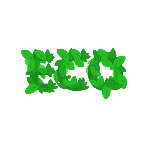 Feuilles sous forme de mot eco — Image vectorielle