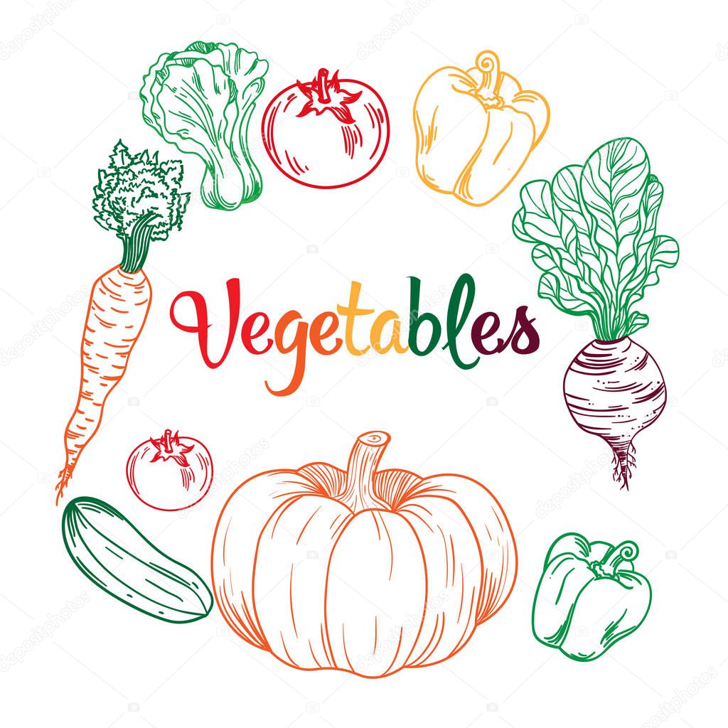 collection with doodle vegetables