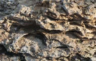 Taş kabuk dokusu kireçtaşı