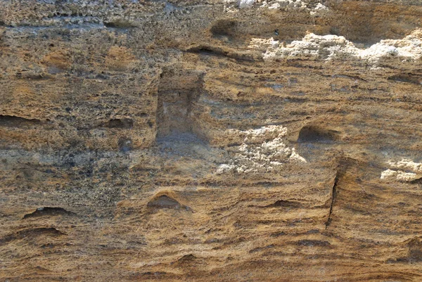 Stone skal konsistens kalksten — Stockfoto