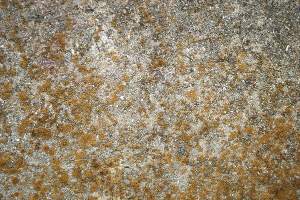 Eski bej taş granit duvar — Stok fotoğraf