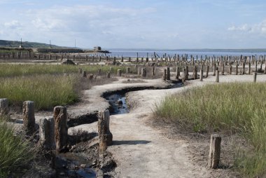 kum plajındaki tahta direkleri