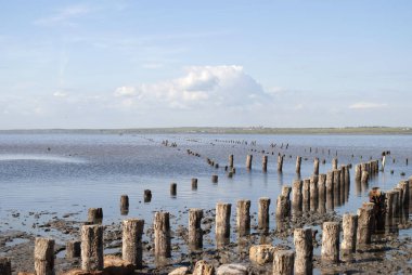 kum plajındaki tahta direkleri