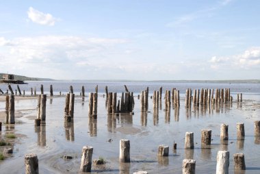 kum plajındaki tahta direkleri