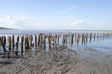 kum plajındaki tahta direkleri