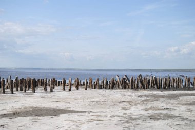 kum plajındaki tahta direkleri