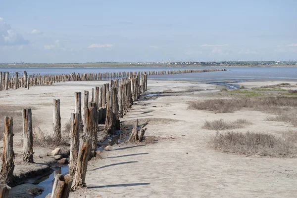 kum plajındaki tahta direkleri