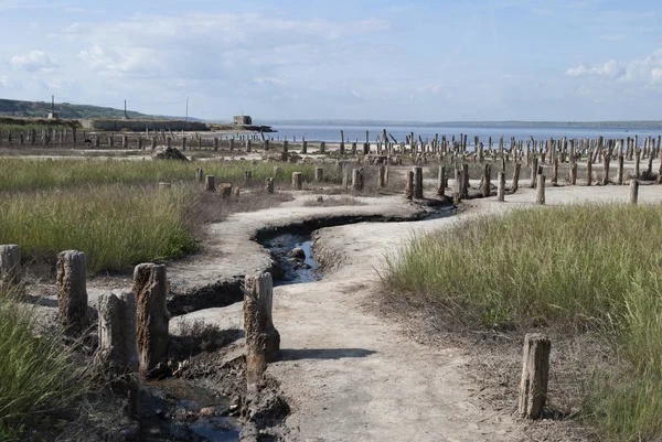 kum plajındaki tahta direkleri