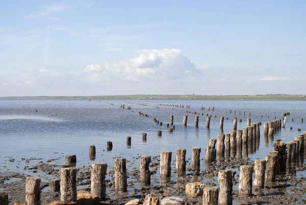 kum plajındaki tahta direkleri