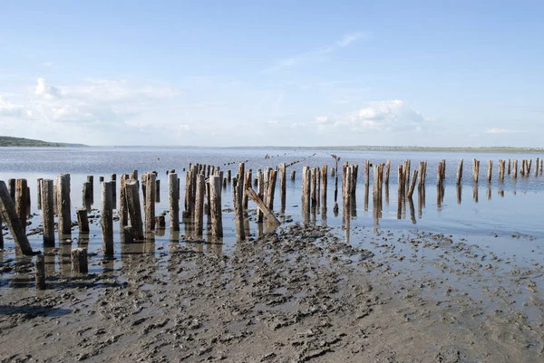 kum plajındaki tahta direkleri