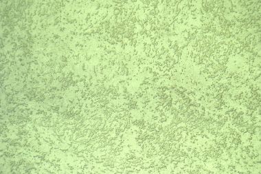 Yeşil alçı duvar dokusu