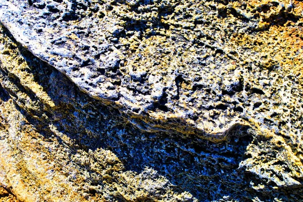 Stone skal konsistens kalksten — Stockfoto