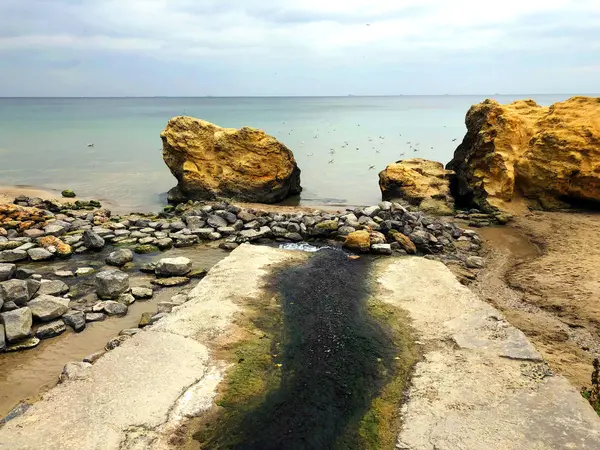 Tropisk strand med solig himmel — Stockfoto