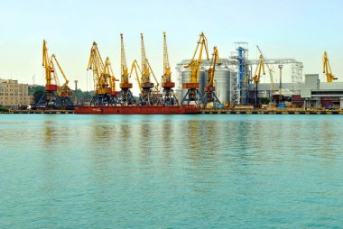 seaport kargo Vinçler