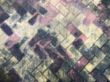 Renkli Paving Döşemeleri dokusu