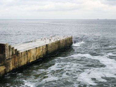 Gündüz plaj eski iskele