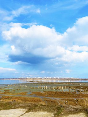 Estuary Kuyalnik. Güzel bir manzaranın fotoğrafı.