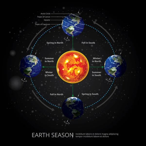 Illustrazione Vettoriale Del Cambio Stagione Terrestre — Vettoriale Stock