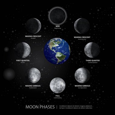 Moon aşama gerçekçi vektör çizim hareketleri