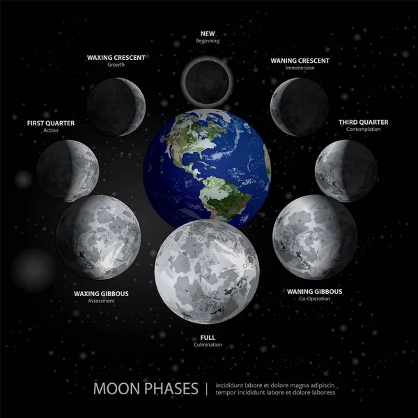 Movimientos Las Fases Lunares Ilustración Vectorial Realista — Archivo Imágenes Vectoriales