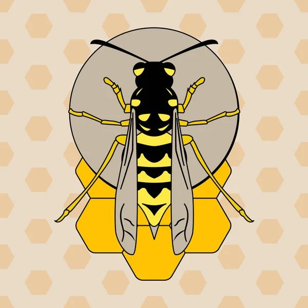 Guêpe sur nid d'abeille — Image vectorielle