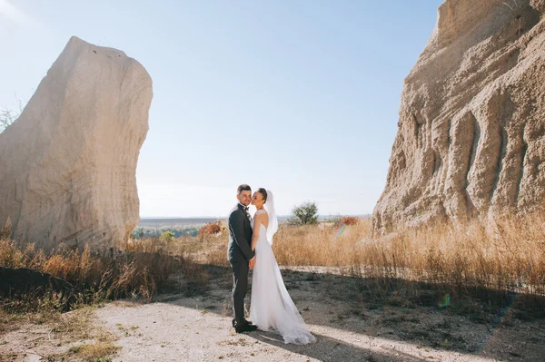 Novia y novio felices —  Fotos de Stock