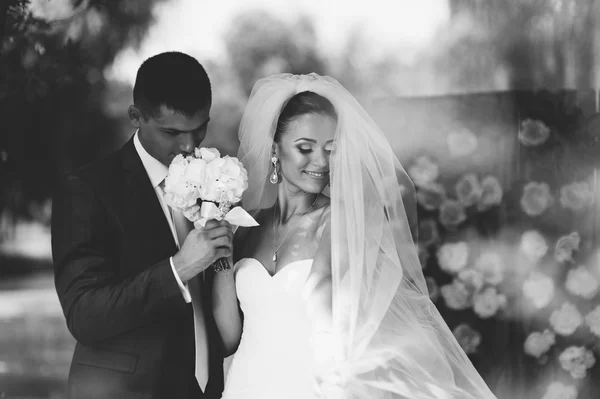 Coppia felice il giorno del matrimonio — Foto Stock