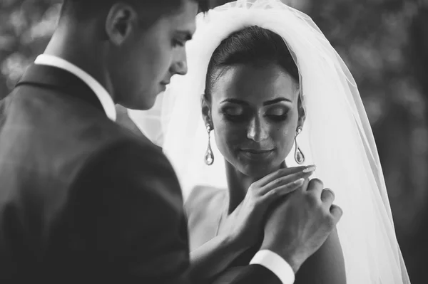 Casal feliz no dia do casamento — Fotografia de Stock