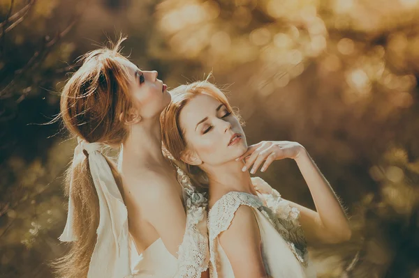 Beautiful twins in field — Stock Photo, Image