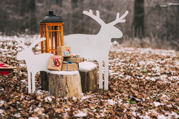 Рождественские подарки в лесу — стоковое фото
