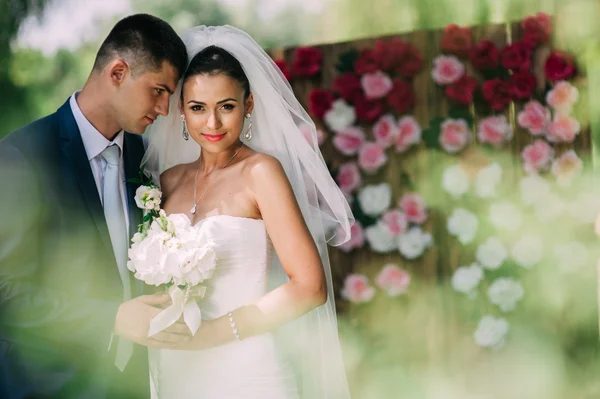 Pareja el día de la boda —  Fotos de Stock