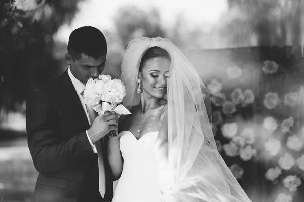 Casal no dia do casamento — Fotografia de Stock