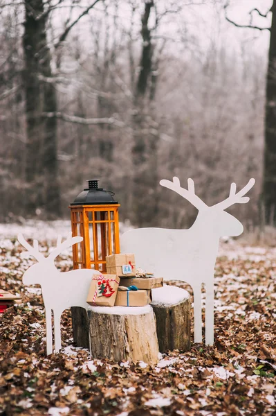 De giften van Kerstmis in bos — Stockfoto