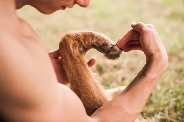 Human and dog make heart shape