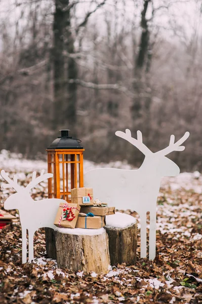 Presentes de Natal na floresta — Fotografia de Stock