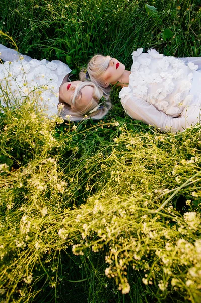Tvillingar liggande på grönt gräs — Stockfoto