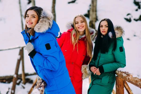 Giovani donne in montagna — Foto Stock