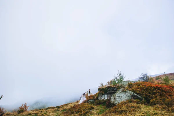 Любляча пара в горах — стокове фото