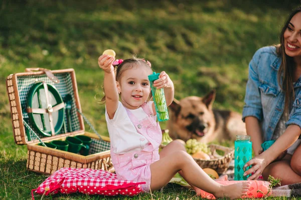 Madre e hija tienen picnic —  Fotos de Stock