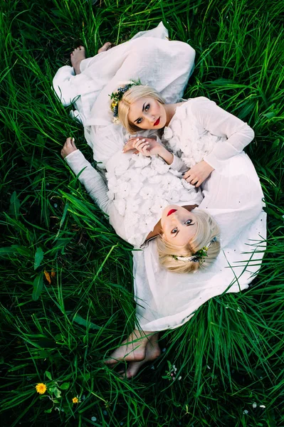 Gêmeos deitado na grama verde — Fotografia de Stock