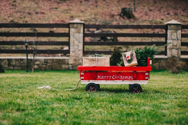 Carrito con árbol de Navidad — Foto de Stock