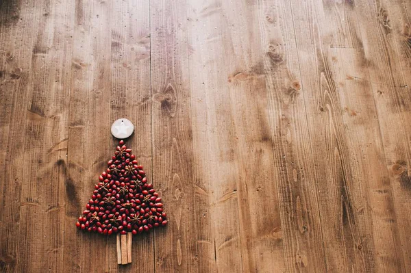 Albero di Natale con rosa canina matura — Foto Stock