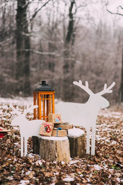 De giften van Kerstmis in bos — Stockfoto