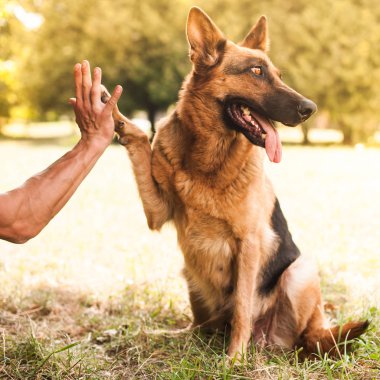 atletik insan ve köpek