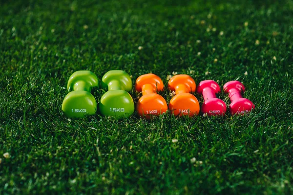 Bunte Hanteln auf Gras — Stockfoto