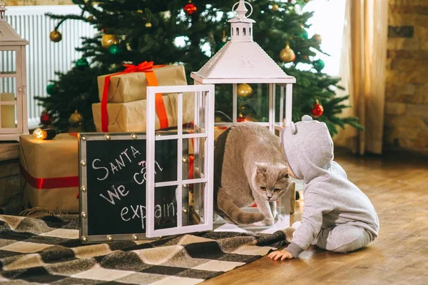 Jongen in Kerstmis interieur — Stockfoto